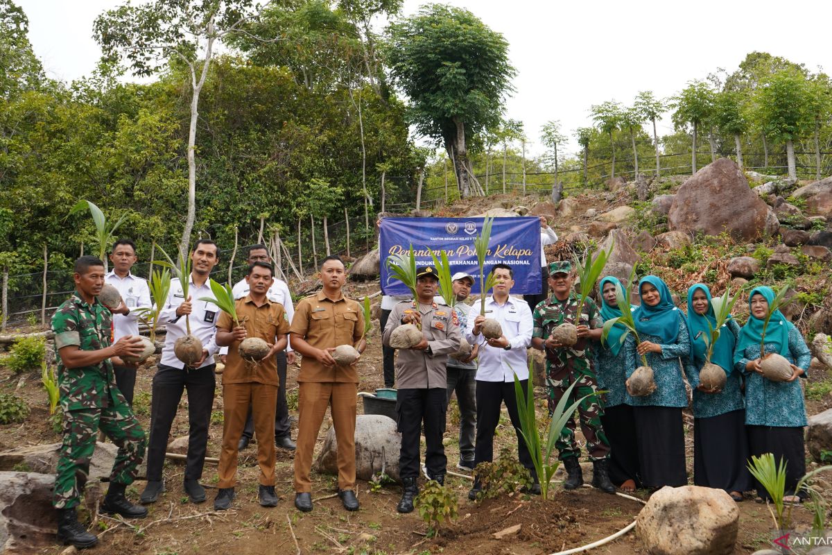 Dukung Asta Cita Presiden, Imigrasi Sabang lakukan penanaman kelapa di Desa Jaboi dan Batee Shok