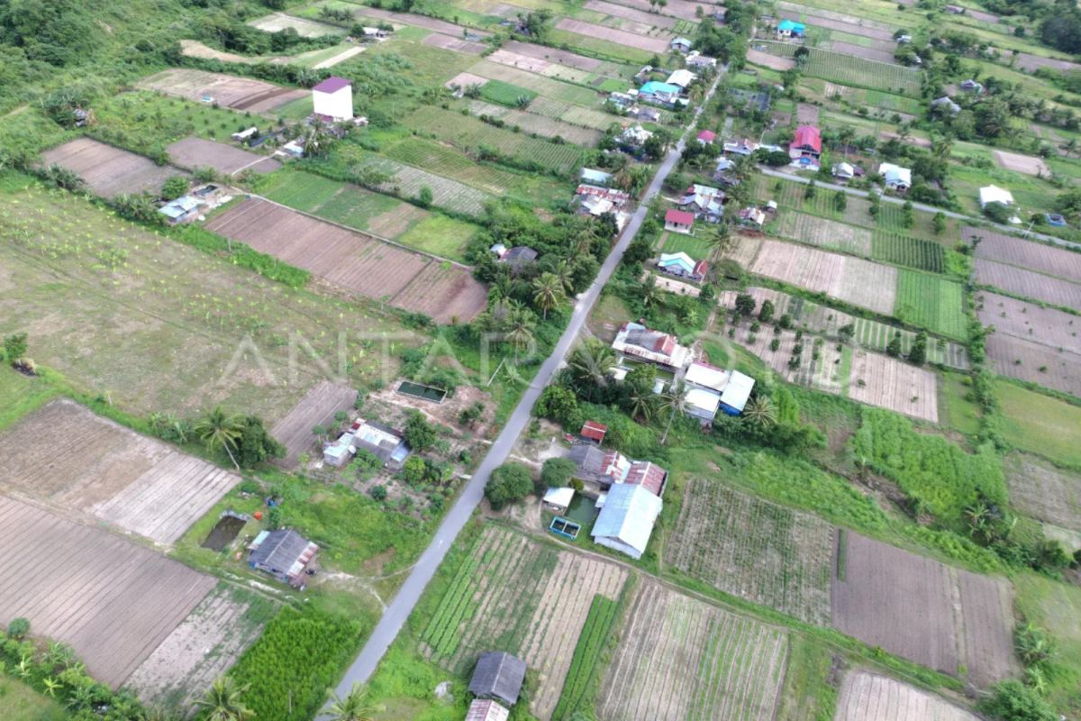 Pakar UMY sebut program transmigrasi di Papua dan 3T perlu sinergi pusat-daerah