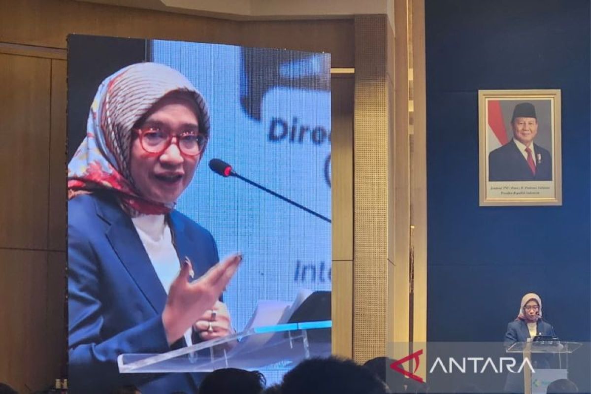 MenPANRB: MPPDN beri fleksibilitas dalam registrasi izin praktik nakes