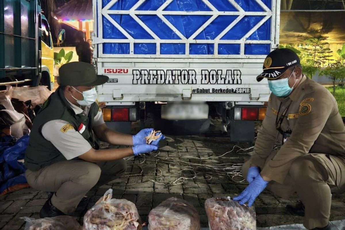 Karantina Lampung gagalkan penyelundupan produk hewan sebanyak 10,8 ton