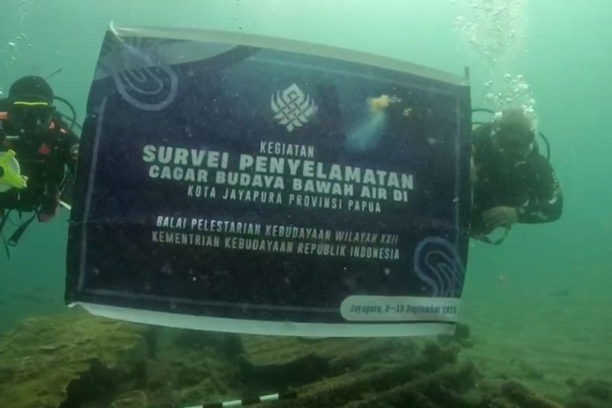 Indonesia discovers nine WWII underwater relics in Papua's waters