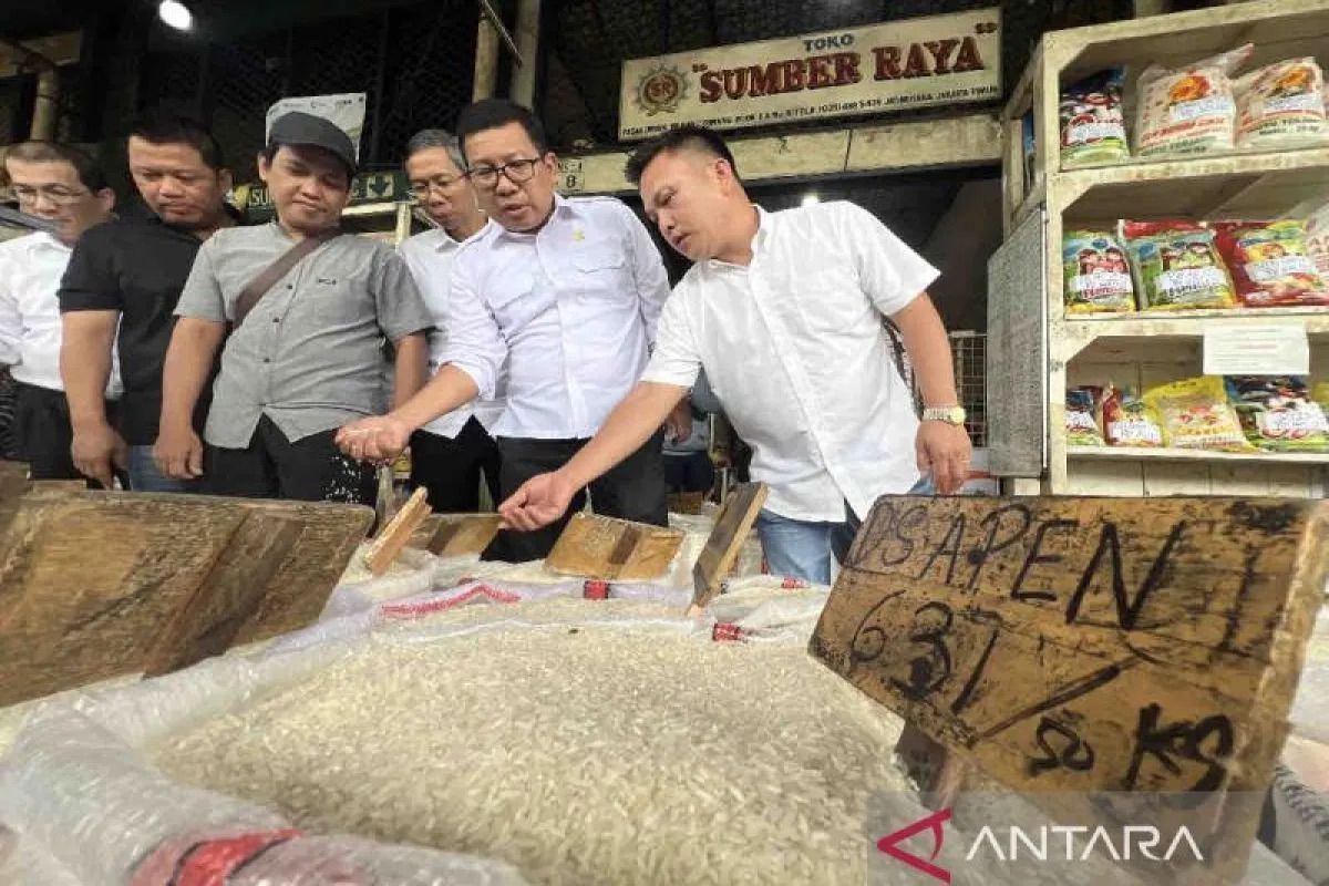 Bapanas: Harga beras premium Rp16.088/kg, medium Rp13.741/kg