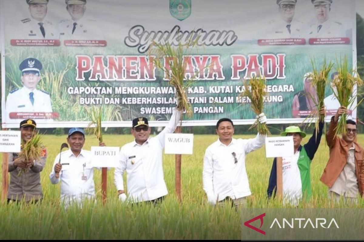 Pemprov Kaltim  targetkan swasembada beras 400 ton per tahun