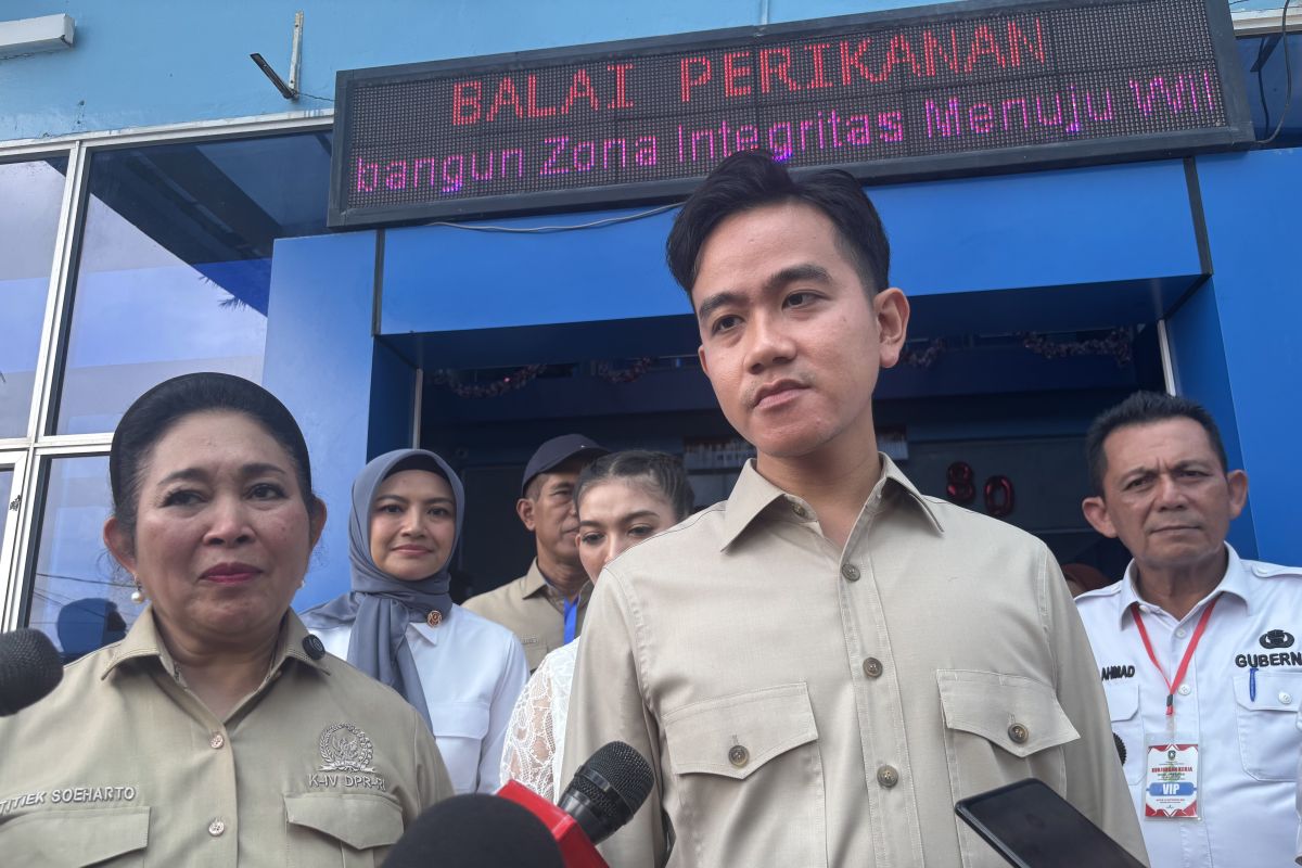 Cabinet reshuffle ensures better public services: Indonesian VP