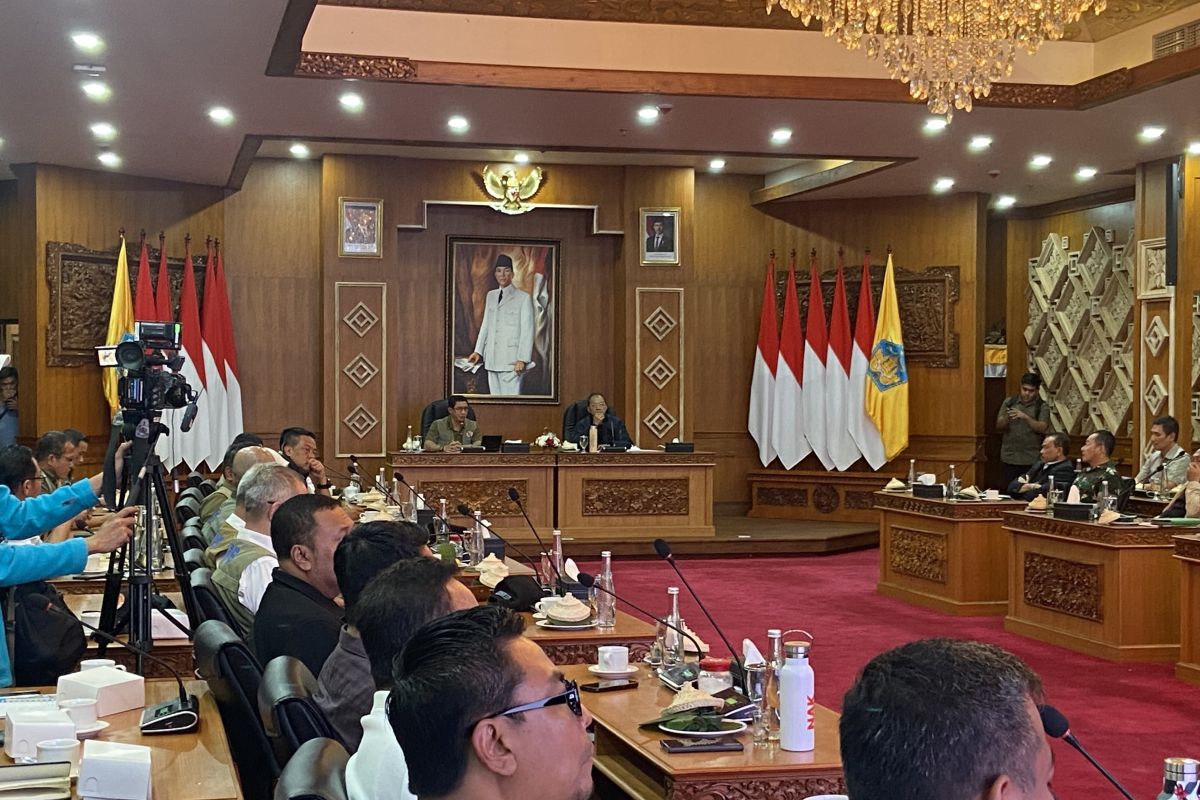 BNPB: Bali dinyatakan berstatus darurat selama sepekan akibat banjir