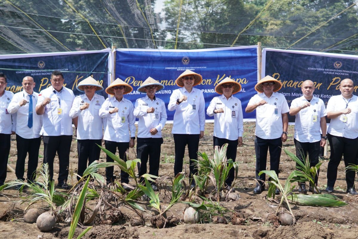 Imigrasi Sulut tanam 200 bibit kelapa dukung ketahanan pangan