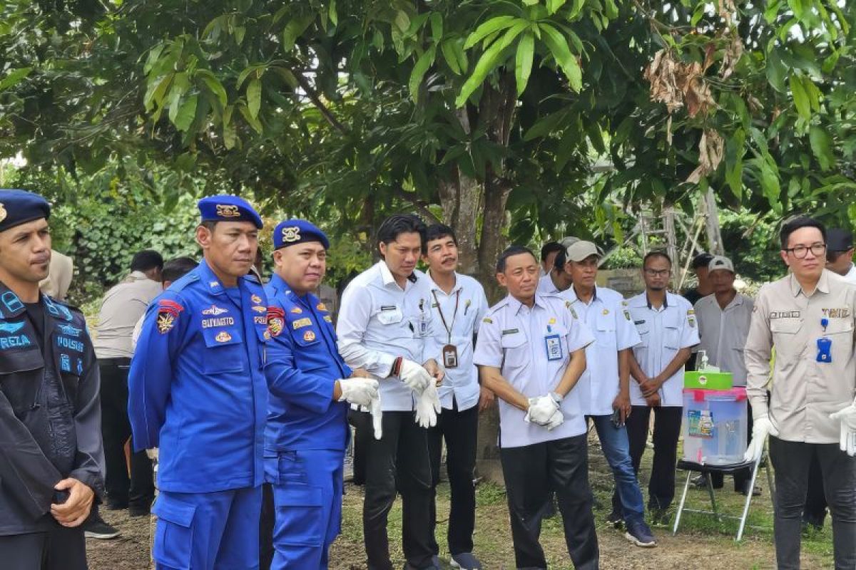 DKP Kalsel musnahkan 900 telur penyu ilegal