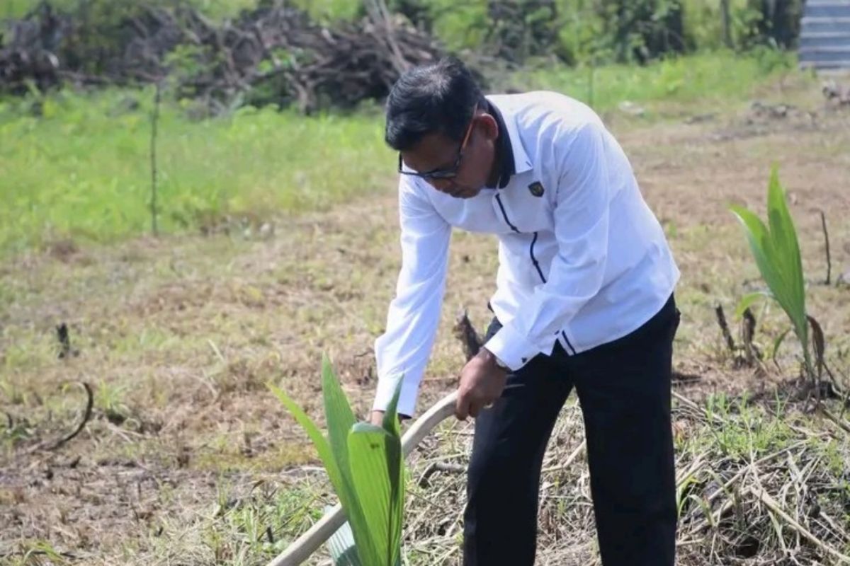 Lapas Narkotika Jayapura tanam kelapa dukung ketahanan pangan
