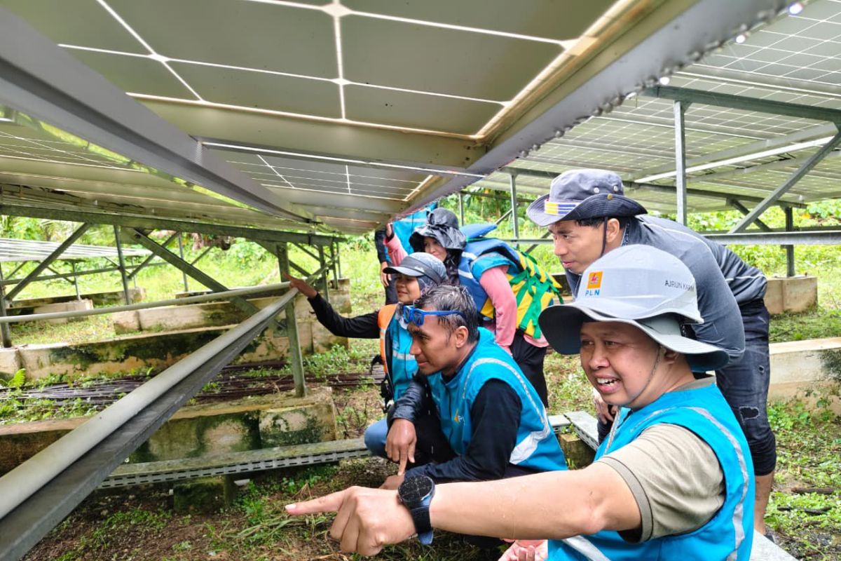 PLN UID Sumbar Tingkatkan Kualitas Layanan Pelanggan di Mentawai di Momen Hari Pelanggan Nasional