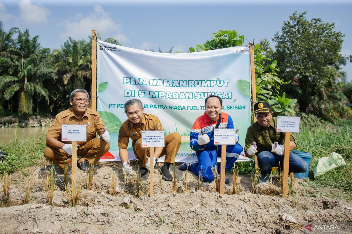 Patra Niaga tanam rumput  vetiver reboisasi DAS Sungai Siak