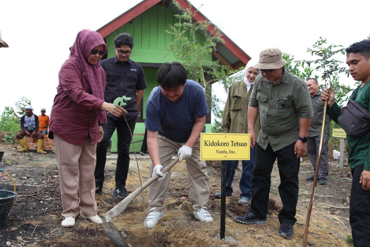 Belantara Foundation dan Vanfu Jepang tanam pohon di Tahura SSH Riau