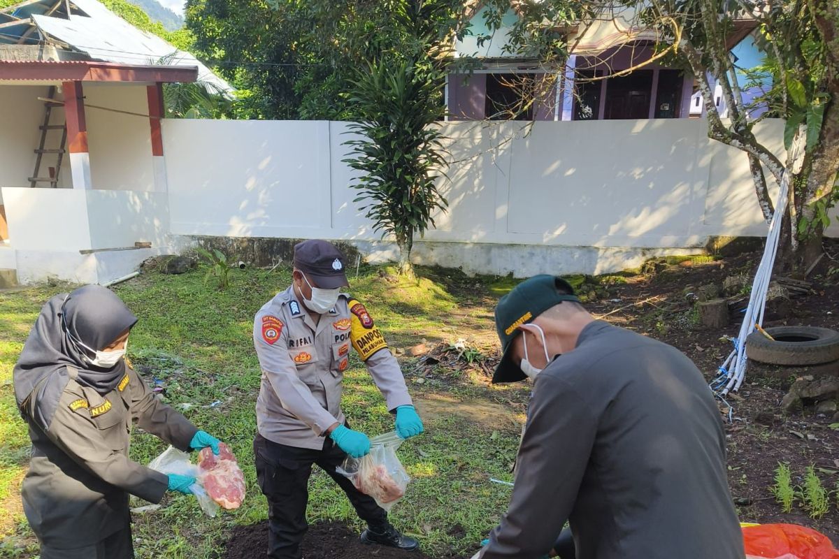 Karantina Malut  musnahkan 100 kilogram daging babi