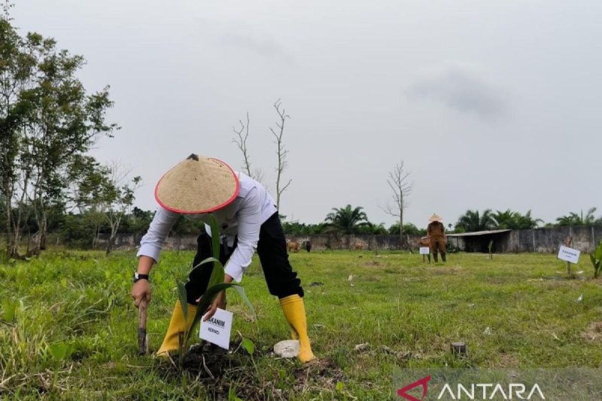 Kanwil Ditjenim Jambi tanam 5.000 bibit kelapa