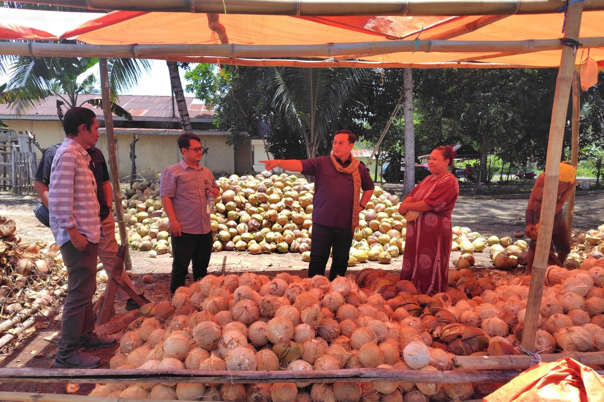 Ombudsman RI paparkan potensi dan tantangan industri kelapa Gorontalo