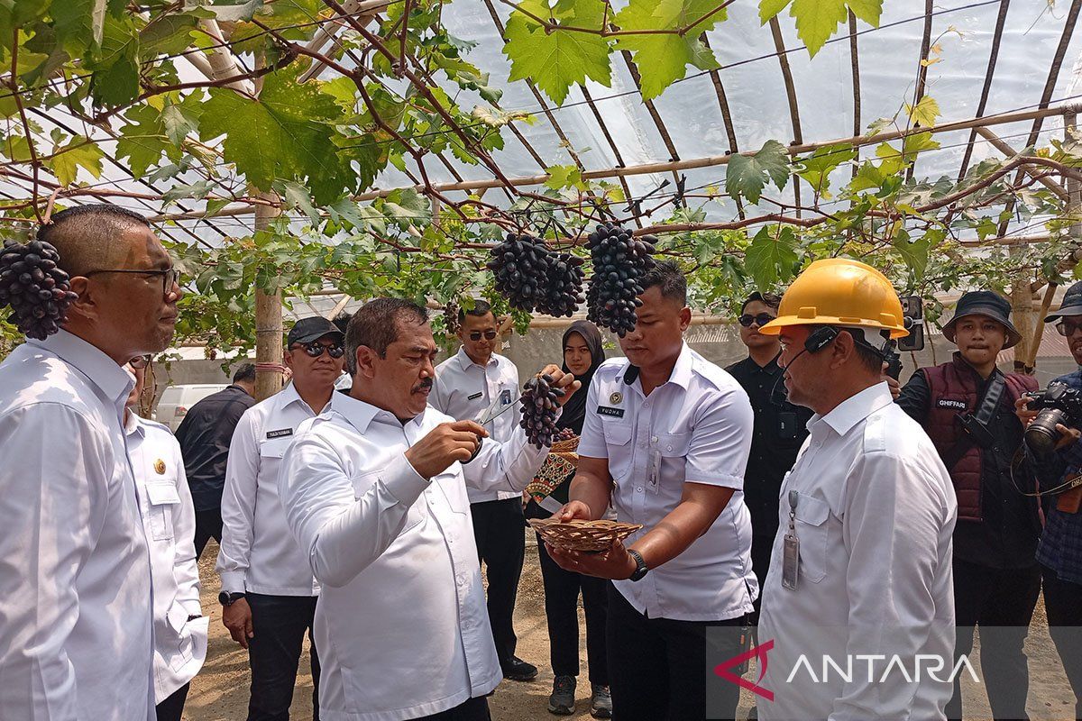 Pakar Unsoed: Nusakambangan potensial kembangkan "food estate"