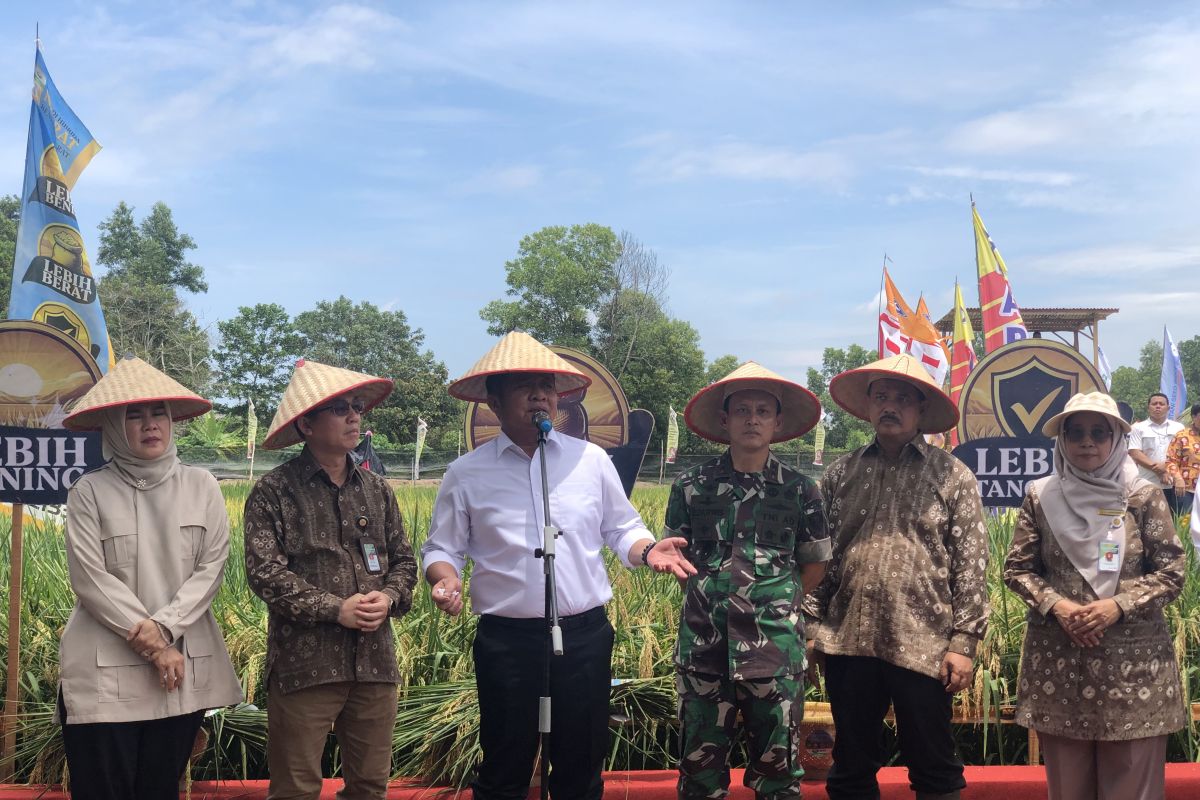 Ada apa saja Gebyar Perbenihan Tanaman Pangan Nasional di Palembang?