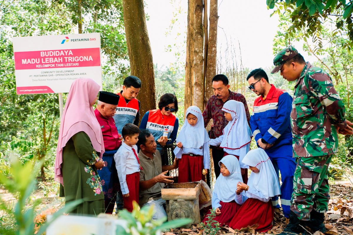 Pertagas dukung kemandirian masyarakat melalui budidaya madu dan ikan