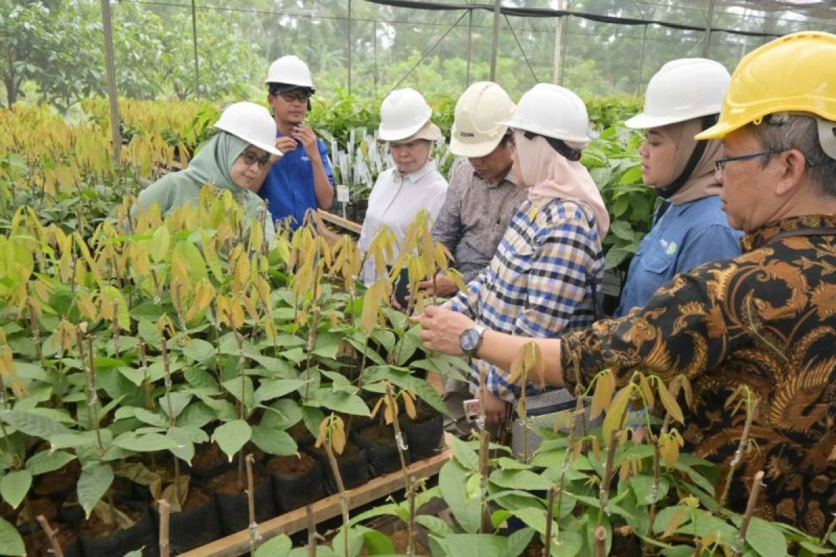 Mondelez Indonesia dorong kolaborasi multi sektor guna wujudkan sektor kakao yang berkelanjutan