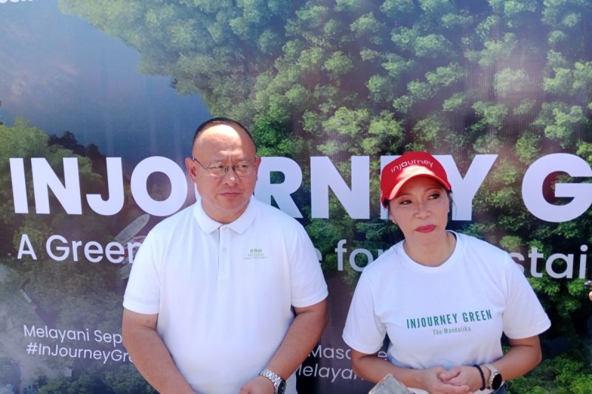 Zona timur KEK Mandalika dihijaukan tanaman mangrove