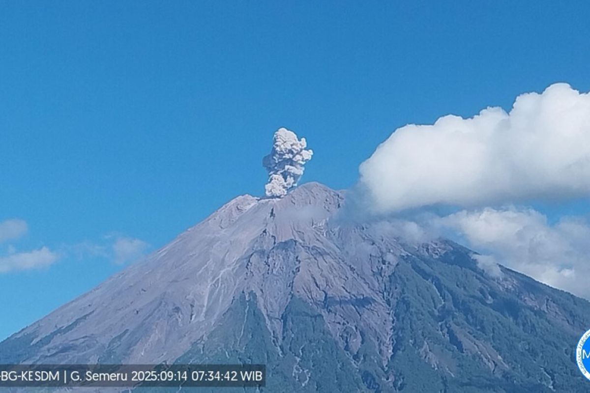 Semeru empat kali erupsi dengan tinggi letusan hingga 800 meter