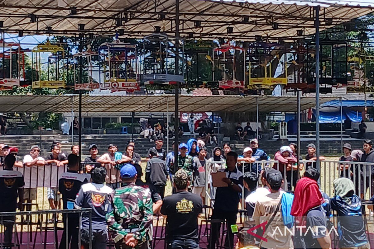Lomba burung berkicau  di Temanggung lestarikan fauna di Indonesia