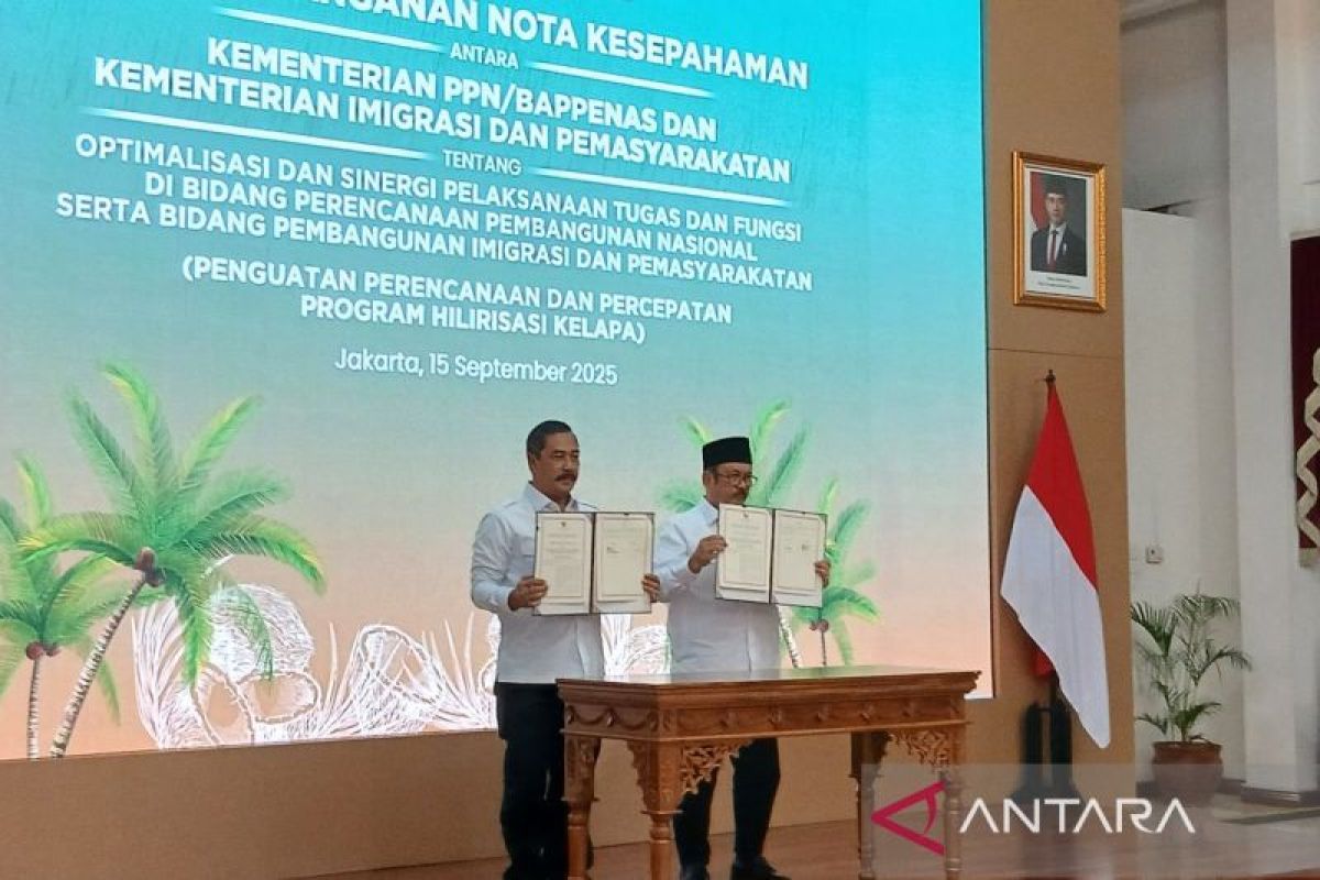 Bappenas-Kemenimipas hilirisasi kelapa perkuat pasokan minyak goreng