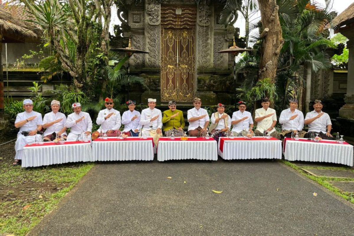 Penglingsir Puri mohon Presiden RI realisasikan Bandara Bali Utara