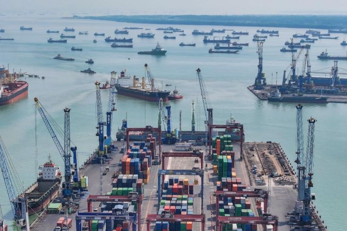 Apa itu apartemen kepiting soka di Teluk Lamong?