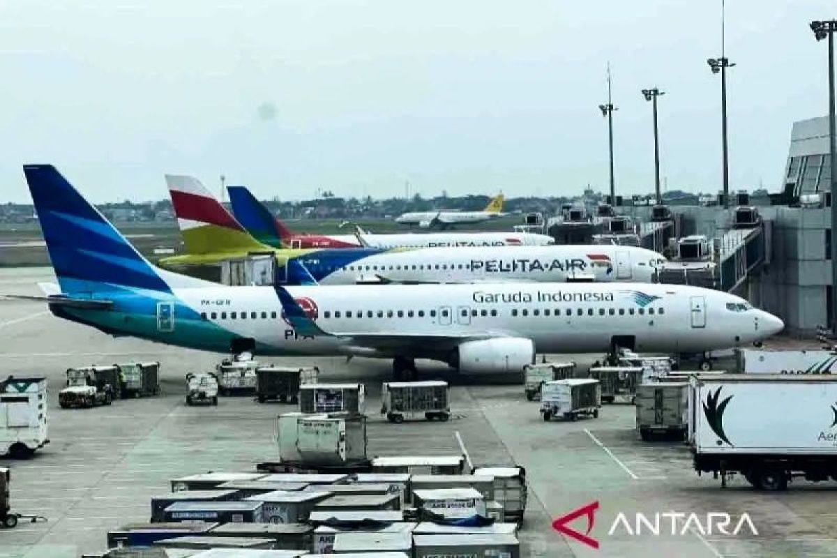 Kemenhub: Merger Garuda-Pelita wajib satukan izin usaha penerbangan