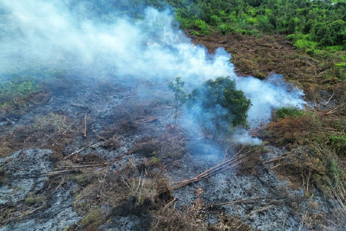 Tiga kebakaran lahan dalam sehari di Kotim