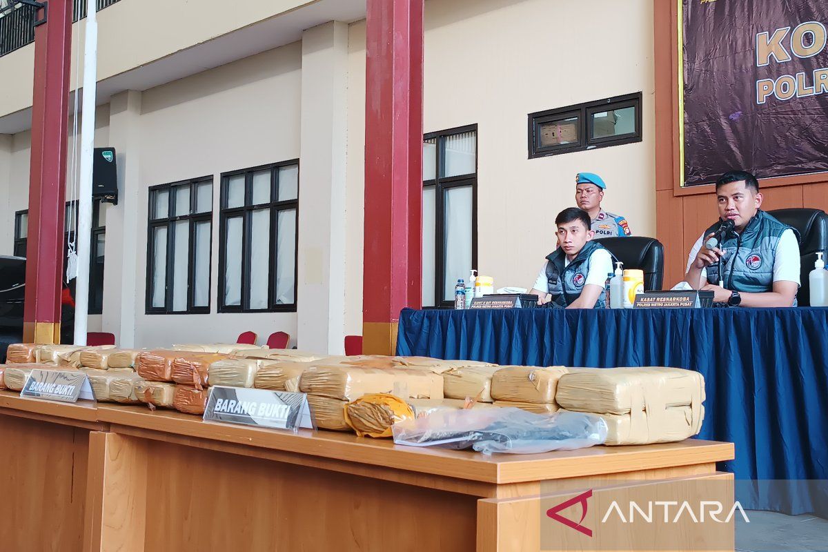 Polres Metro Jakpus tangkap pengedar ganja seberat 53 kilogram