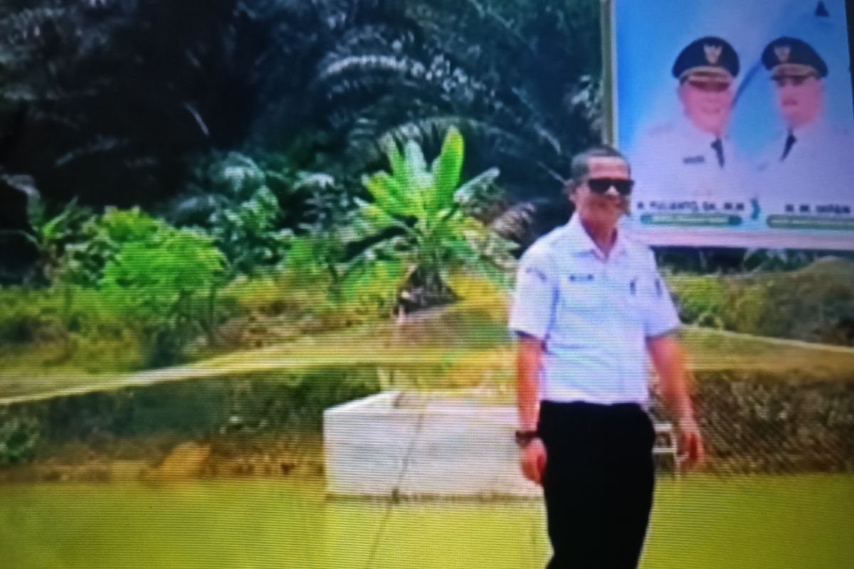 Produksi ikan di Pasaman Barat hingga Agustus capai 71.056 ton