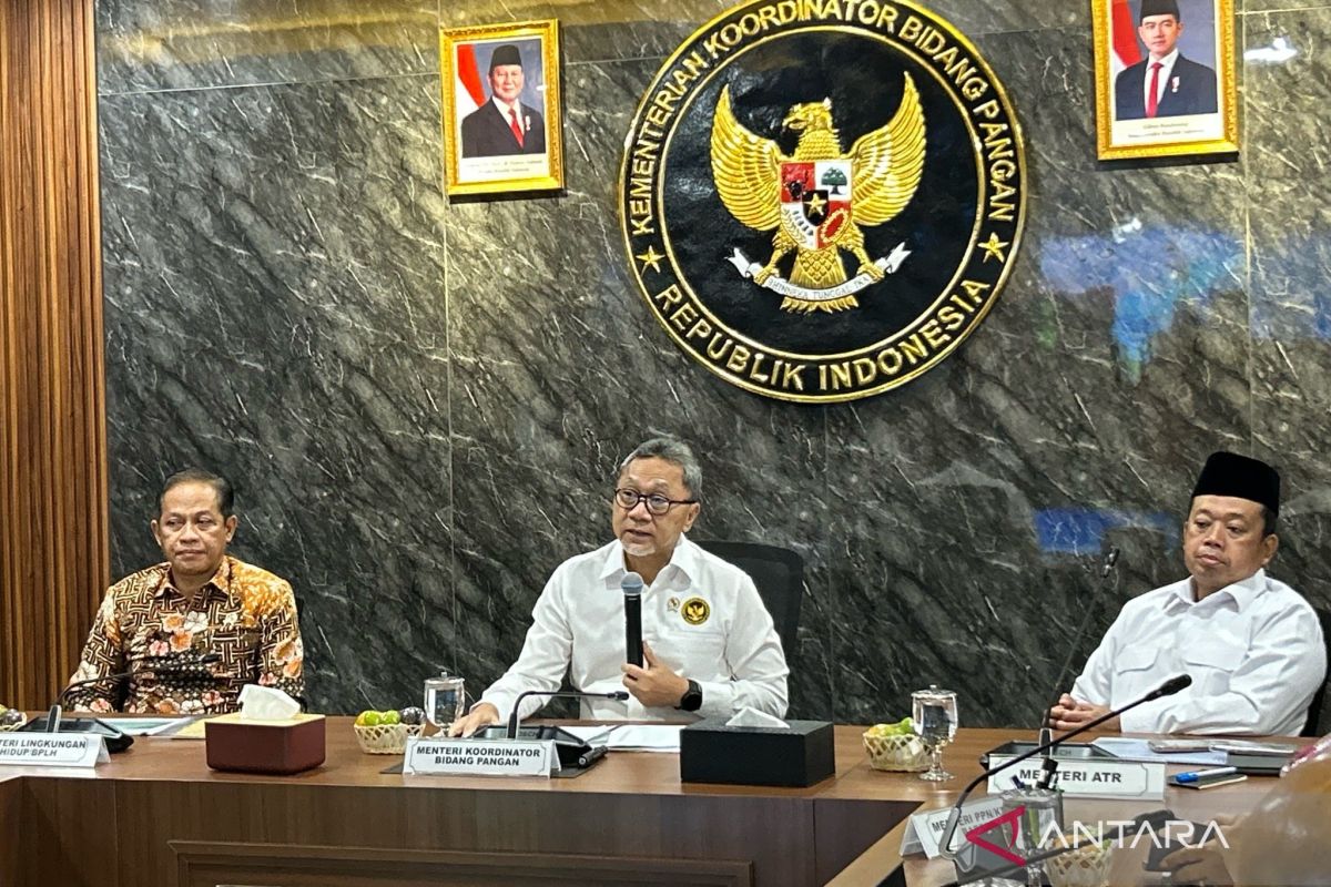 Merauke to become driving force of food, energy sufficiency: minister