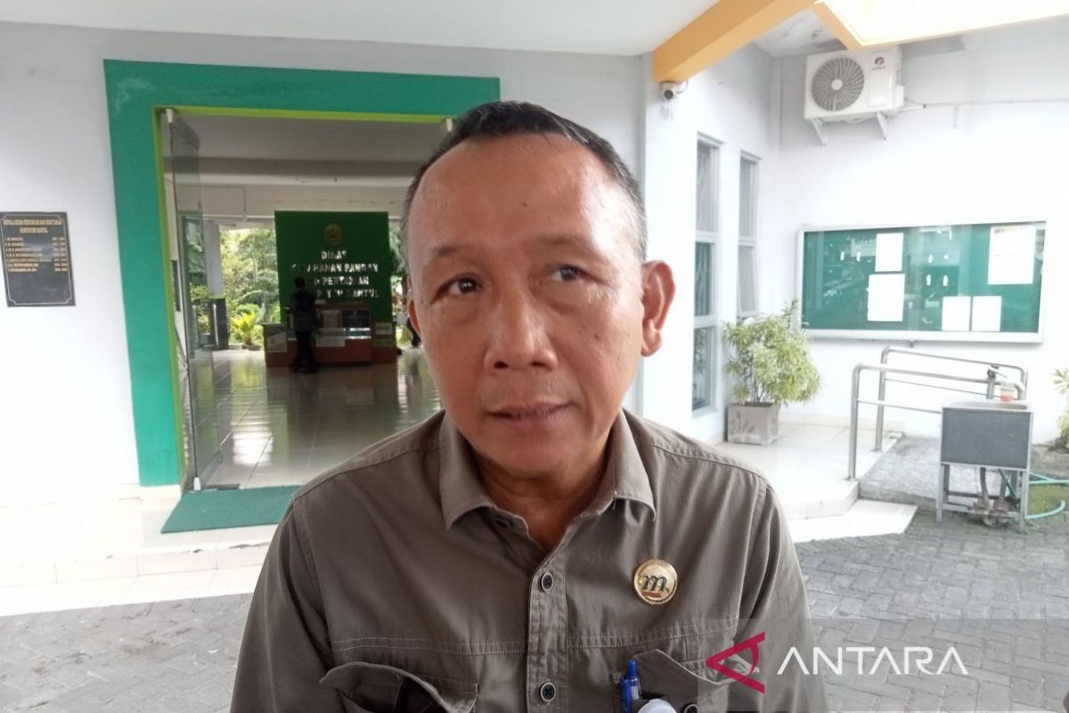 Bantul produksi padi 116 ribu ton di semester I-2025