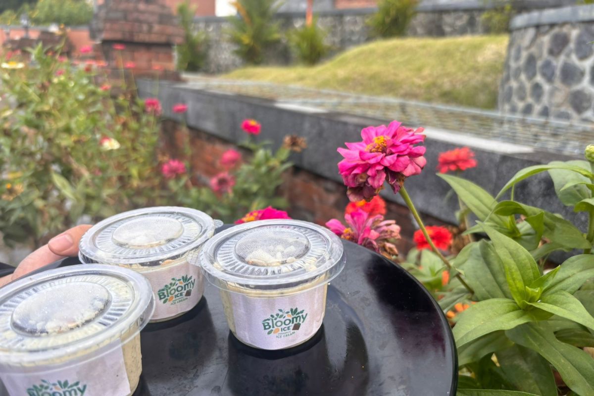 Santriwati PPI AMF buat es krim dari daun kelor untuk cegah stunting