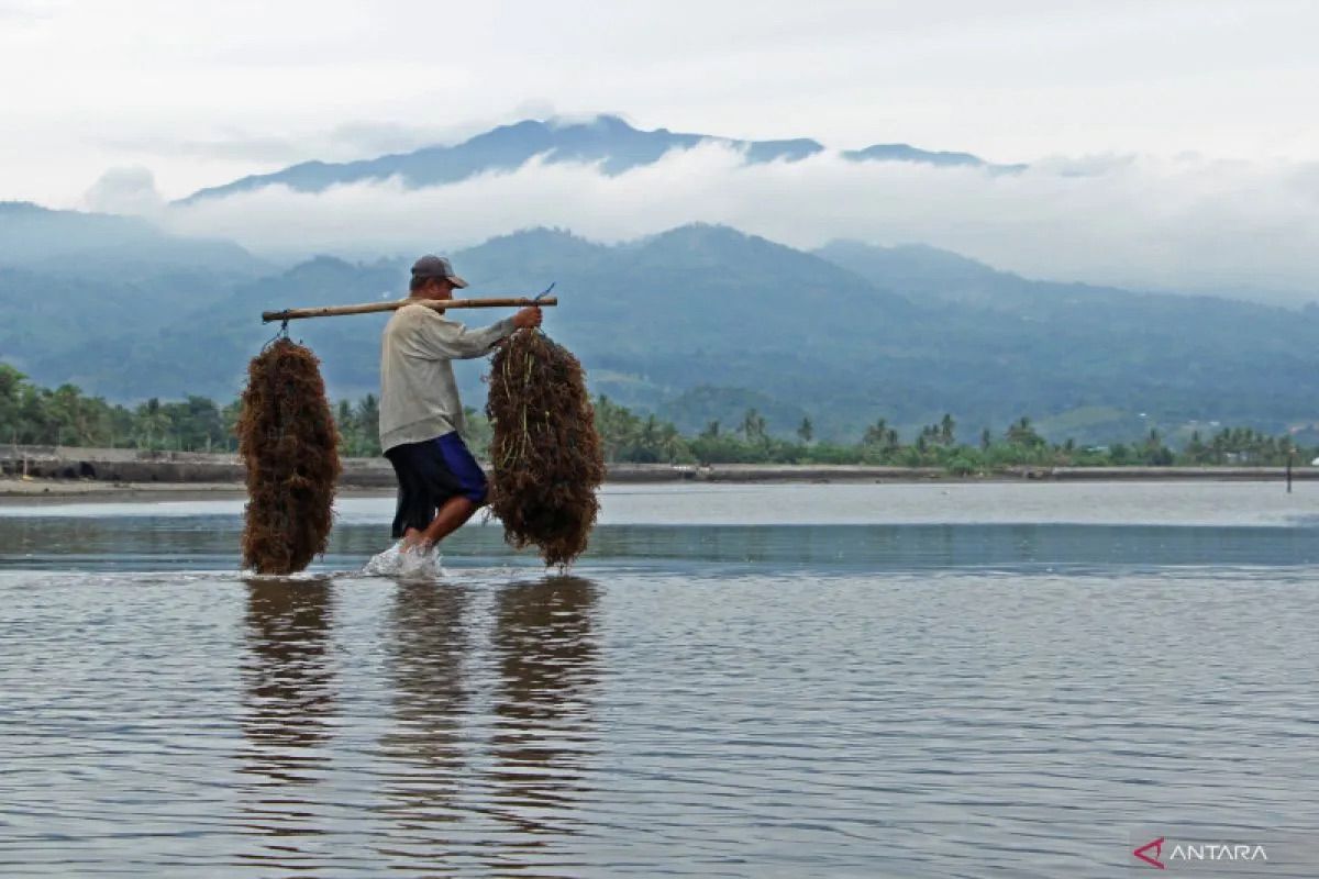 KKP dorong percepatan legalisasi rencana zonasi KSNT untuk karbon biru