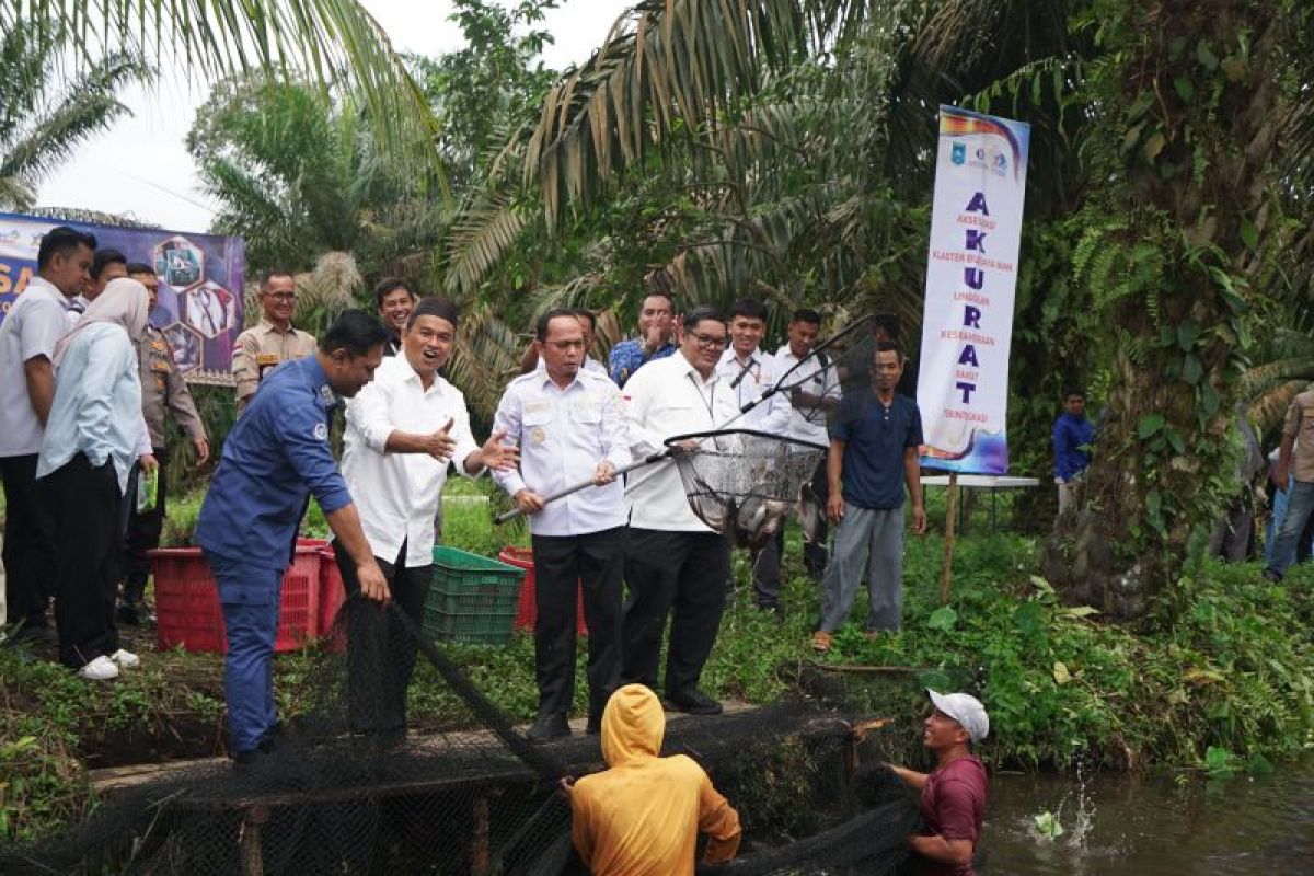 BI Babel-Pemkab Bangka Tengah resmikan klaster perikanan air tawar
