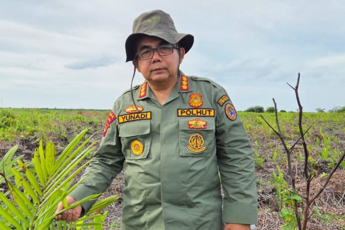 Balai TNBS pastikan tidak ada pelapasan lahan kawasan taman nasional 