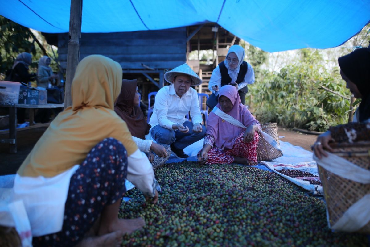 Indonesia's DPD launches program to pursue food self-sufficiency