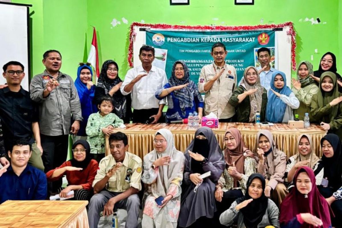 Untad kembangkan susu jagung kaya gizi