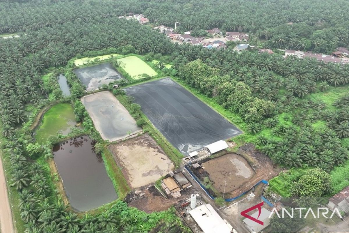 DLH Kampar Pastikan Sungai Tapung Bebas dari Limbah PKS Tandun