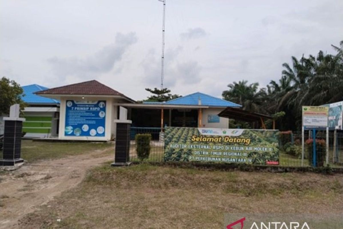 Produksi 40.984 Ton Sawit, Kinerja Air Molek Group PTPN IV Regional III Melesat
