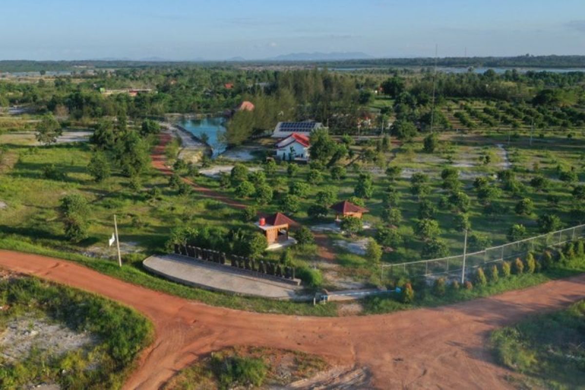 PT Timah reklamasi 75,52 hektare lahan bekas tambang di Babel