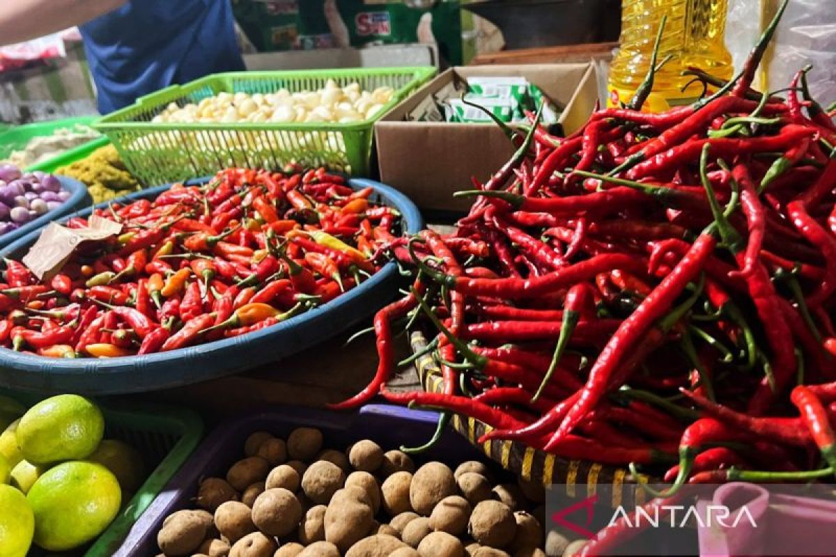 Harga pangan hari ini beras turun jadi Rp13.652/kg, cabai rawit Rp46.680 /kg