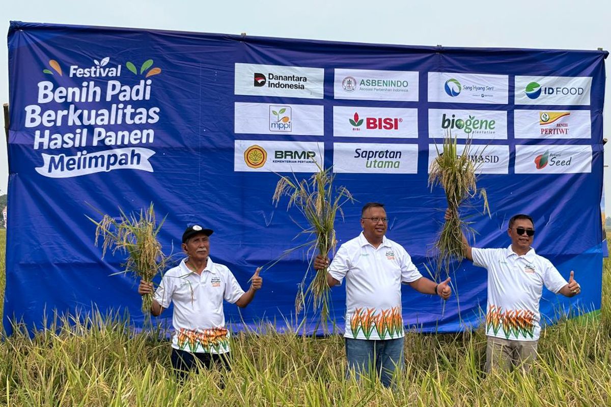 PT Sang Hyang Seri dorong benih bersertifikat agar panen berlimpah