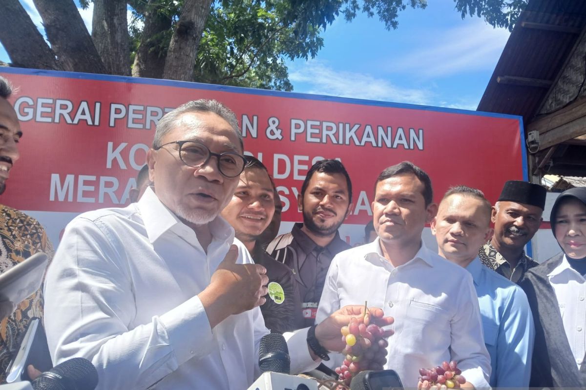 Menko Pangan: Dana  kopdes Rp3 miliar dapat diajukan pekan depan