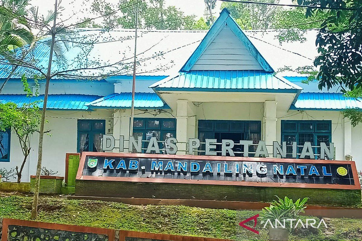 Riksus di Dinas Pertanian Madina, Taufik: Saya tidak terlibat