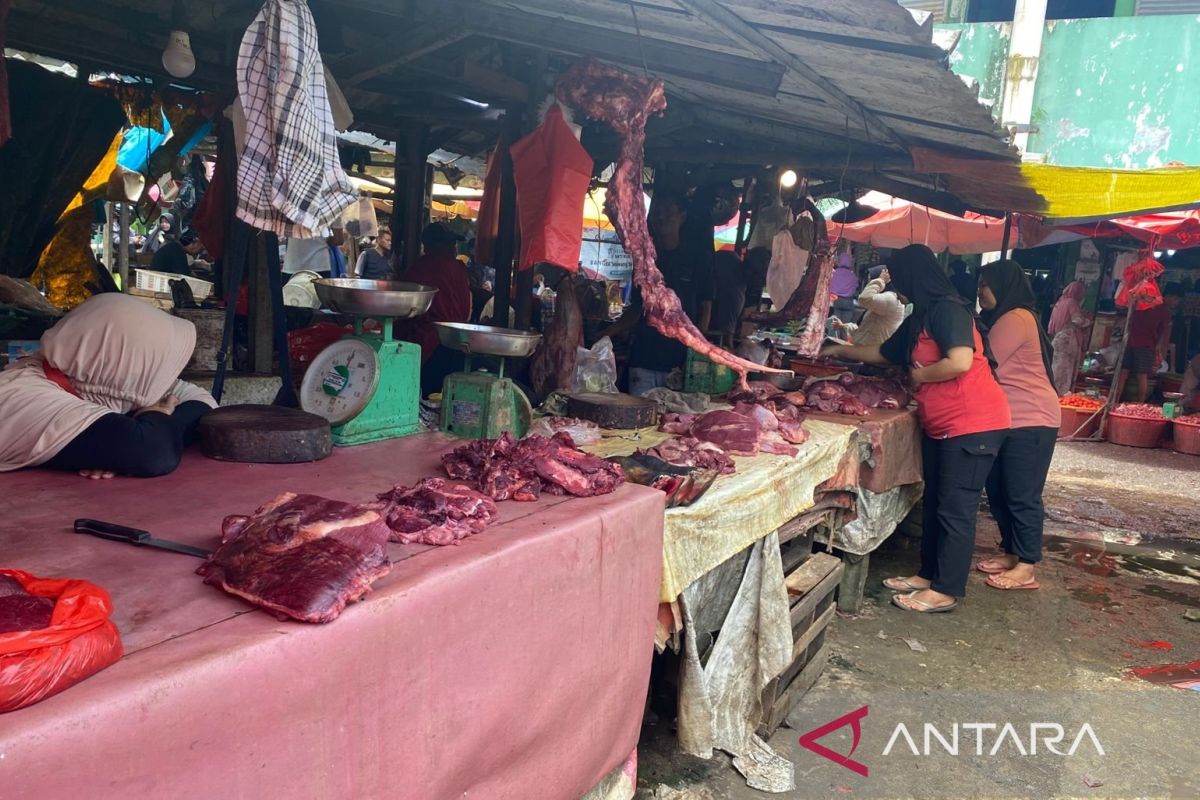 Harga daging sapi di Pangkalpinang stabil
