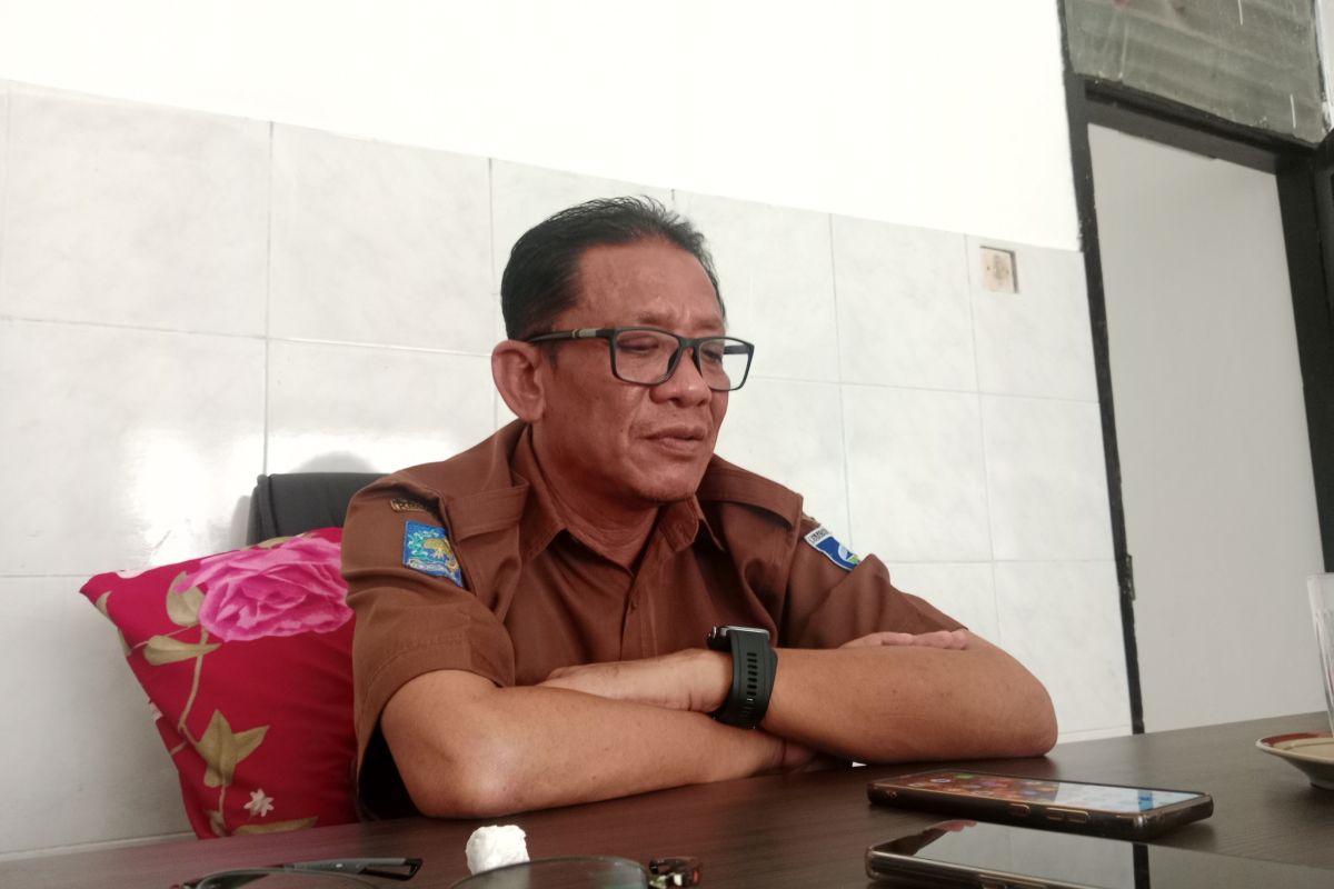 Lombok Tengah sediakan 7 hektare untuk budidaya singkong