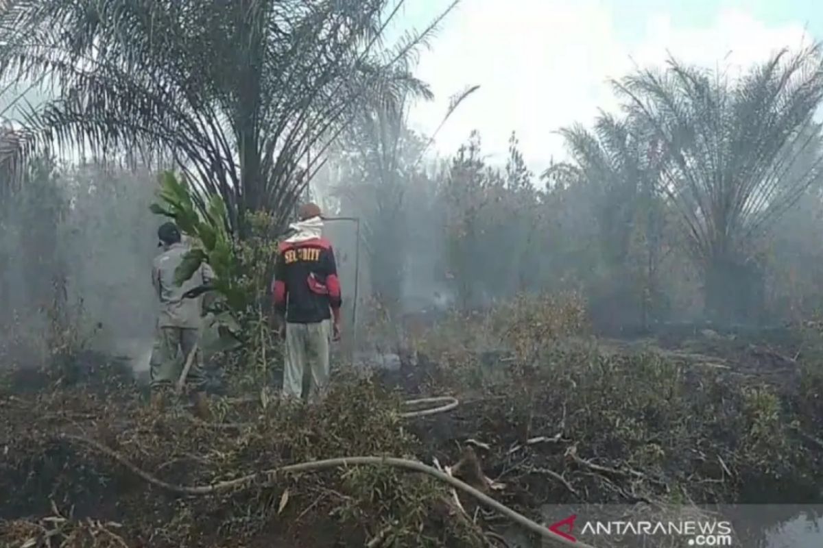Riau bentuk Forum Komunikasi Cagar Biosfer Giam Siak Kecil Bukit Batu